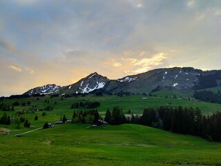 landscape in the morning