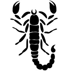 Scorpio zodiac sign symbol on the white isolated background. Scorpio 
silhouette. 