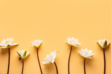 Obraz premium Composition with beautiful white lotus flowers on color background