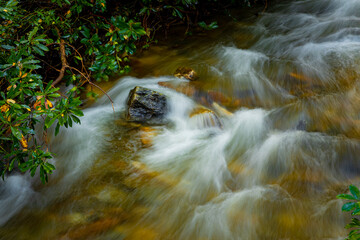 Artistic pattern is created by blurry water in stream in Pisgah Forest