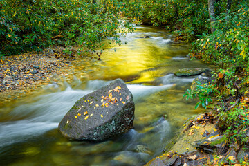 Bright yellow color of the sun reflects off the water in Davidson River in Pisgah Forest.