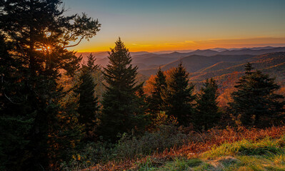 Sun twinkles through the pine trees at sunset on the Blue Ridge Parkway