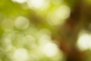 Obraz premium Abstract natural bokeh background, blurred bokeh