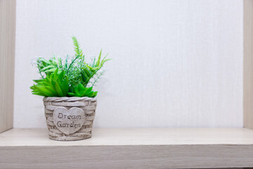 Green plant in small modern terracotta pot on white wood shelf isolated on white wall background.