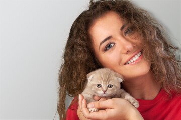 Kitten vet examining. Domestic cat in doctor hands