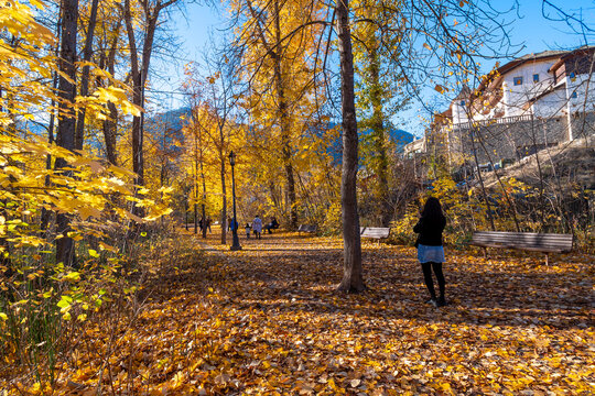 A woman takes a photo on a leaf covered park with autumn colors all around near Blackbird island in the town of Leavenworth, Washington uSA