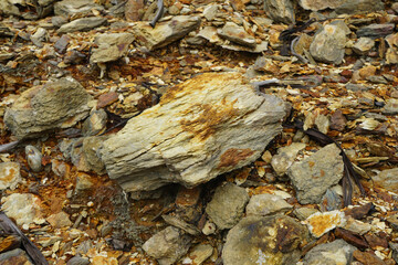 Shale is clastic sedimentary rock formed by mud that is a mixture of flakes of clay minerals and small fractions.