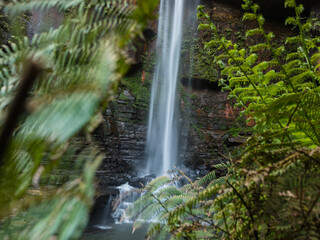 Belmore Falls waterfall, NSW, Australia