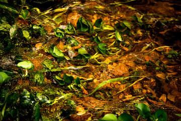 Naturaleza Antioquia