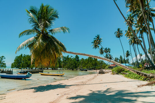 Beach With Rows Of Coconut And White Sand That Spoil The Eyes Of Tourists