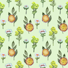 Seamless pattern watercolor wildflowers on a green background