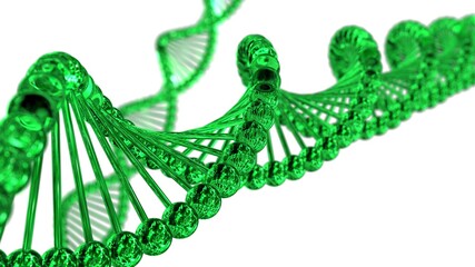 Science Molecular Glass DNA Model Structure under green flash light and white background. 3D illustration. 3D CG. 3D high quality rendering.