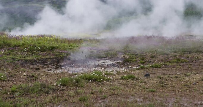 Ground level view of a little geyser pumping steam out of the earth, Iceland
