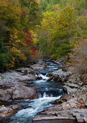 658-59 Autumn Color at the Sinks