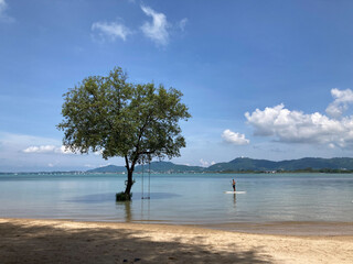 a man is playing a paddleboard on the sea with a big green mangrove tree which has a swing and beautiful city, mountain, and super bright sky in the background