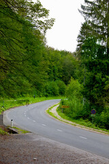 road in thegreen  forest, slovenia