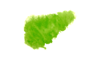 Abstract green or light green watercolor spread or stain on white background,Color Abstract	