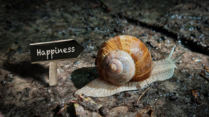 Street Sign to Happiness