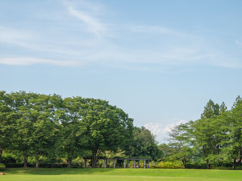 公園の樹木と青空と雲 © mitway
