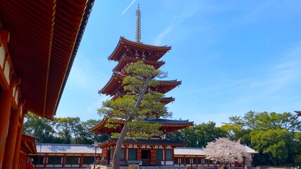 桜花の季節の奈良　薬師寺　西塔