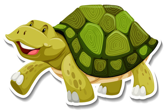 Cute turtle animal cartoon sticker