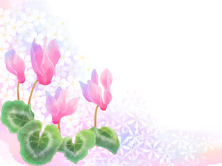 カラフルシクラメンのフレーム（白い小花の背景）