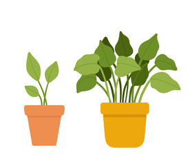 Obraz premium Hand drawn house plants in pots. Vector illustration in flat style isolated on white background