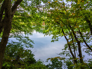 Swamp behind woods in early autumn (Zao, Yamagata, Japan)