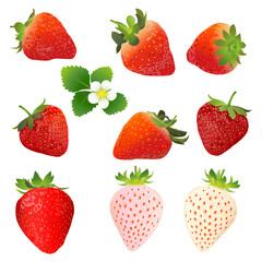 いちごのベクターイラストセット