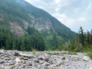 Fototapeta na wymiar Base of Mount Rainier 2021