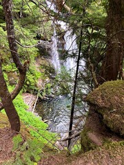Fototapeta premium Mount Rainier Waterfall 2021