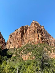 Fototapeta premium Angel's Landing Zion National Park 2021