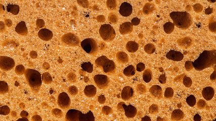 texture sponge closeup