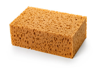 beige sponge closeup