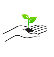 open hand with soil and seedling