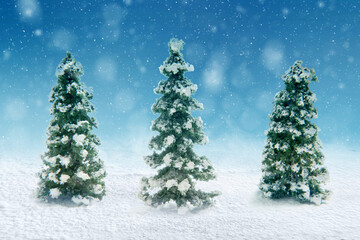 Snowy fir trees