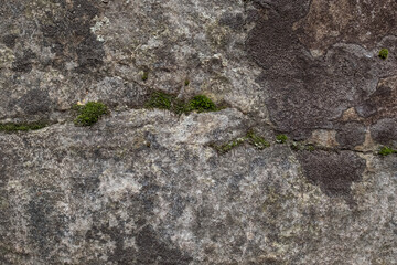 Texture of a natural stone wall with green moss.
