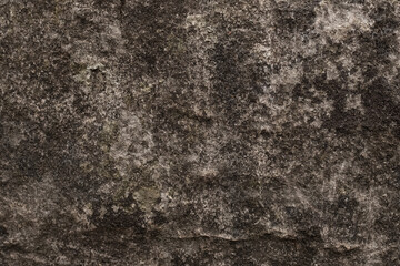Gray texture of natural stone.