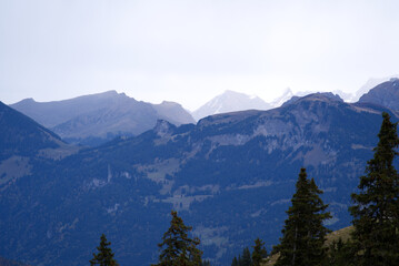 Fototapeta premium Mountain panorama seen from Axalp at Bernese Highlands on a grey cloudy autumn day. Photo taken October 19th, 2021, Brienz, Switzerland.