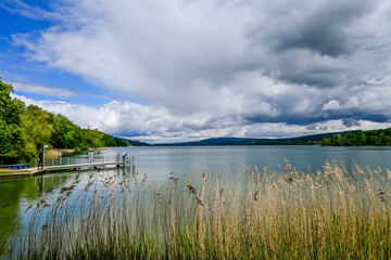 Mosen, Aesch, Hitzkirch, Hallwilersee, Seeufer, Uferweg, Wasserpflanzen, Naturschutz, Boote, Schiffssteg, Wassersport, Seerundfahrt, Sommer, Luzern, Schweiz