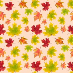 autumn leaves background
