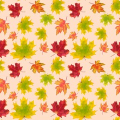 autumn leaves background