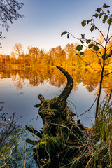 Golden hour and sunset over the Narew River in the autumn time