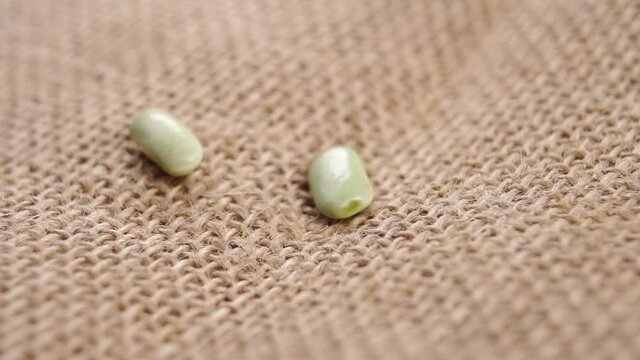 Dry green Verdina beans fall on a rustic kitchen rough burlap with crumbs. Macro. Slow motion. Raw organic legumes close up