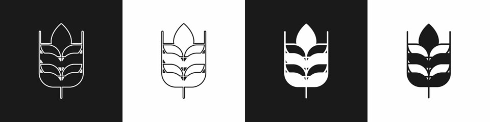 Set Cereals set with rice, wheat, corn, oats, rye, barley icon isolated on black and white background. Ears of wheat bread symbols. Vector