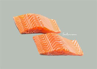 Vector Illustration of Delicious Salmon, Raw Salmon, Salmon Fish