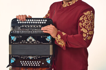 stage image costume artist musician with accordion