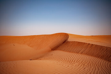 sand dunes in the desert