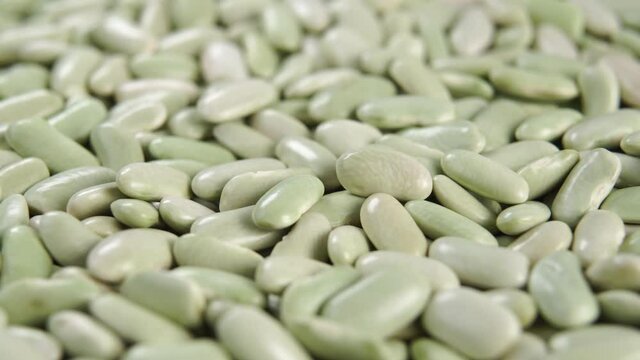 Green verdina beans close up. Dry uncooked organic legumes. Traditional food of Asturias and Galicia, Spain. Dolly shot. Macro