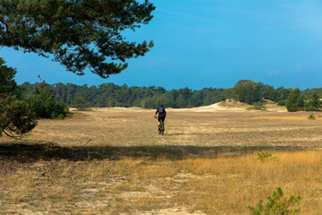 Off-road cyclists in the Hulshorsterzand nature reserve. Nunspeed, The netherlands